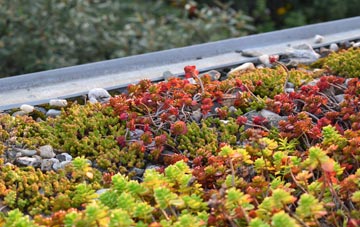 the cost of Raithby green roof installation