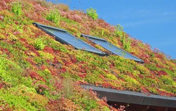 Raithby living roof systems