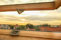 rated Raithby roof window companies